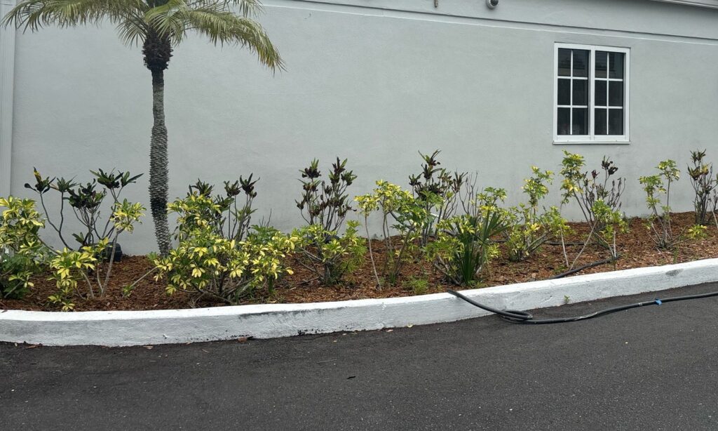 Cropped commercial exterior wall, white-trimmed window, and landscaping