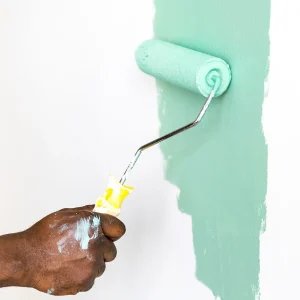 people-painting-house-wall